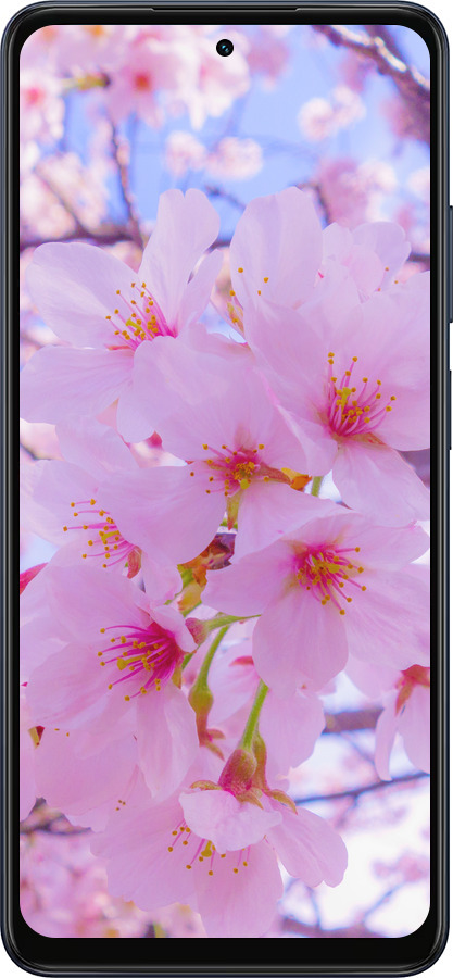 Силиконовый чехол Сакура для Oppo A5X 4G/5G - 6029u-4090 изображение 