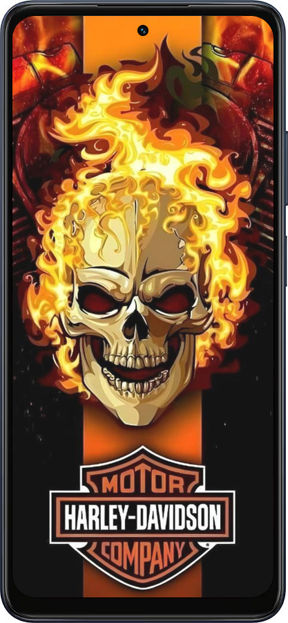 Силиконовый чехол Харлей девидсон для Oppo A5X 4G/5G - 6370u-4090 изображение 