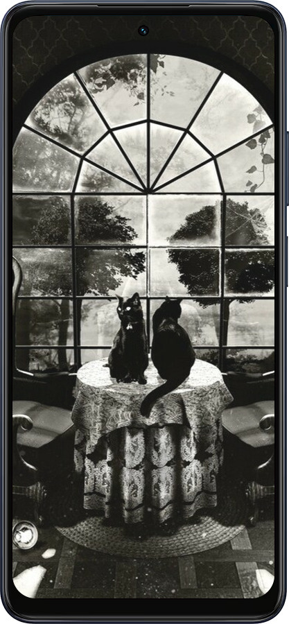 Силиконовый чехол Череп и коты для Oppo A5X 4G/5G - 6432u-4090 изображение 