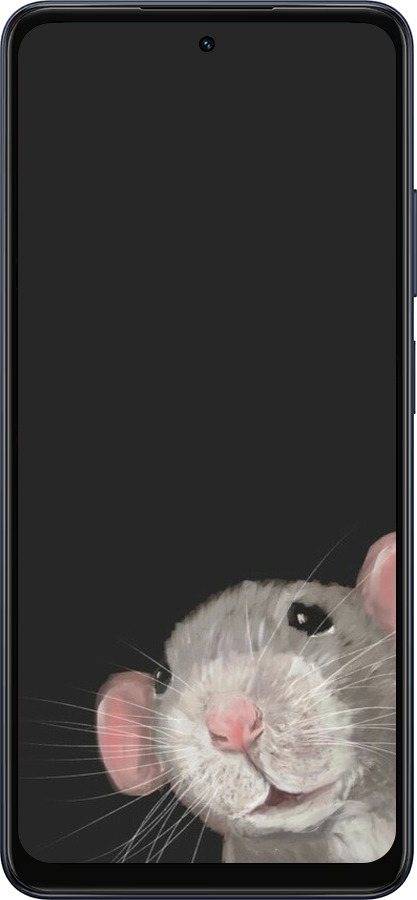 Силиконовый чехол The Peeking Rat для Oppo A5X 4G/5G - 6442u-4090 изображение 