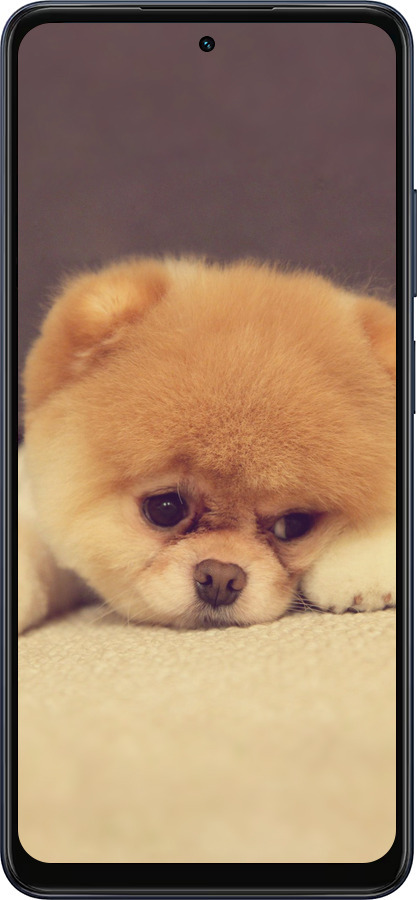 Силиконовый чехол Boo 2 для Oppo A5X 4G/5G - 890u-4090 изображение 