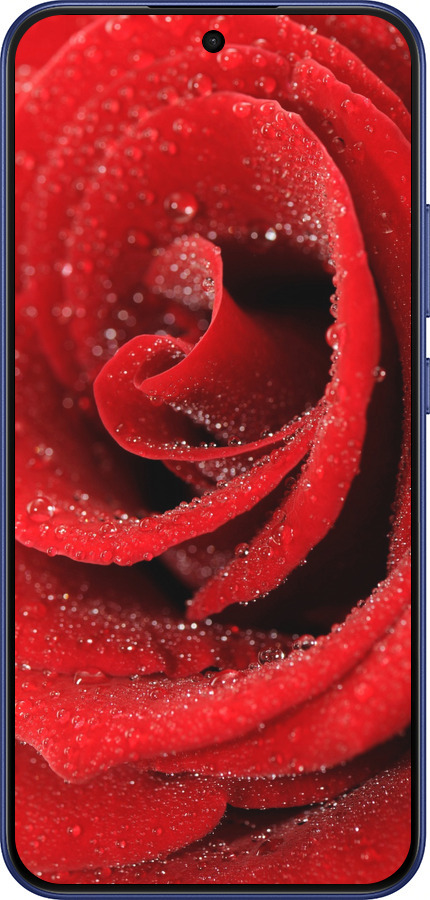 Силиконовый чехол Красная роза для Oppo F31 - 529u-4238 изображение 