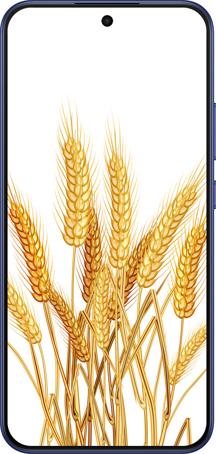 Силиконовый чехол Колоски пшеници для Oppo A6 Pro 4G - 5866u-4229 изображение 