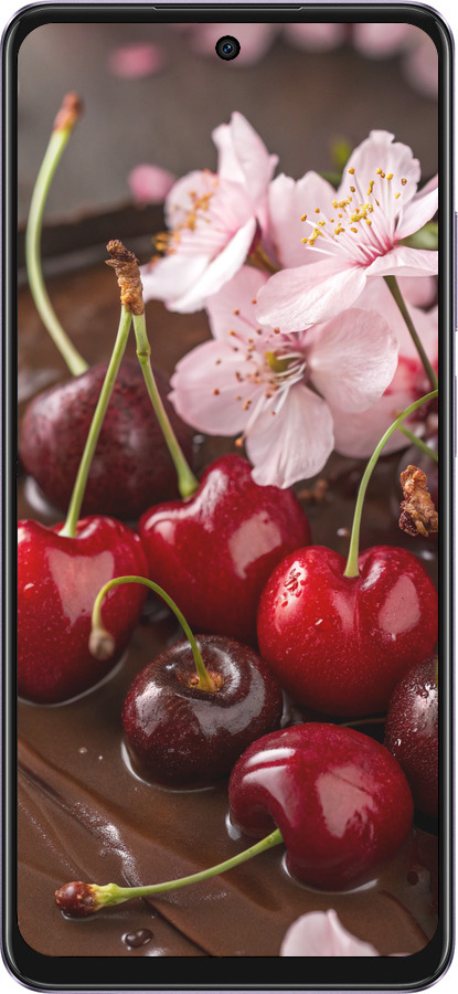 Силиконовый чехол Вишня в шоколаде для Oppo A60 4G - 6698u-3702 изображение 
