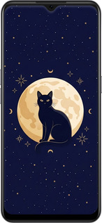 TPU чехол Cute Cat Celestial/Witchy для Oppo A73 - 6787b-1379 изображение 