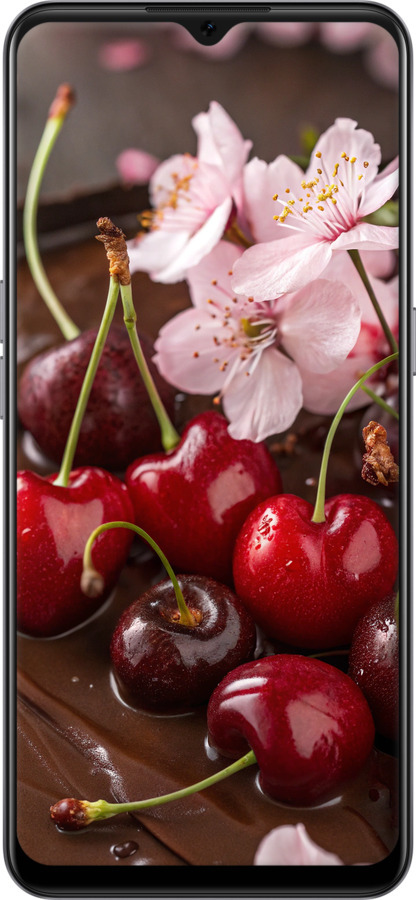 Силіконовий чехол Вишня у шоколаді для Oppo A73 - 6698u-1379 изображение 