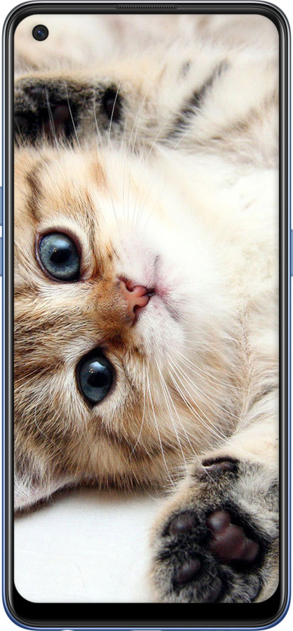 Силіконовий чехол Котик для Oppo A74 - 6024u-2305 изображение 