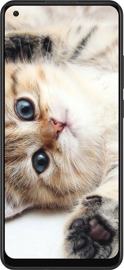 TPU чехол Котик для Oppo A78 4G - 6024b-3142 изображение 