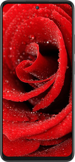 Силиконовый чехол Красная роза для Oppo A80 5G - 529u-3963 изображение 