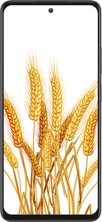 Силиконовый чехол Колоски пшеници для Oppo A3 Pro 5G - 5866u-4144 изображение 