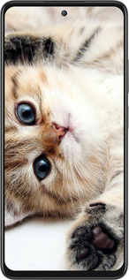 Силіконовий чехол Котик для Oppo A3 Pro 5G - 6024u-4144 изображение 