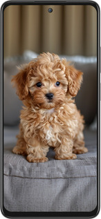 Силиконовый чехол Mini-maltipoo для Oppo A3 Pro 5G - 6158u-4144 изображение 