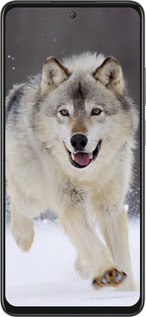 Силиконовый чехол Бегущий волк для Oppo A3 Pro 5G - 826u-4144 изображение 