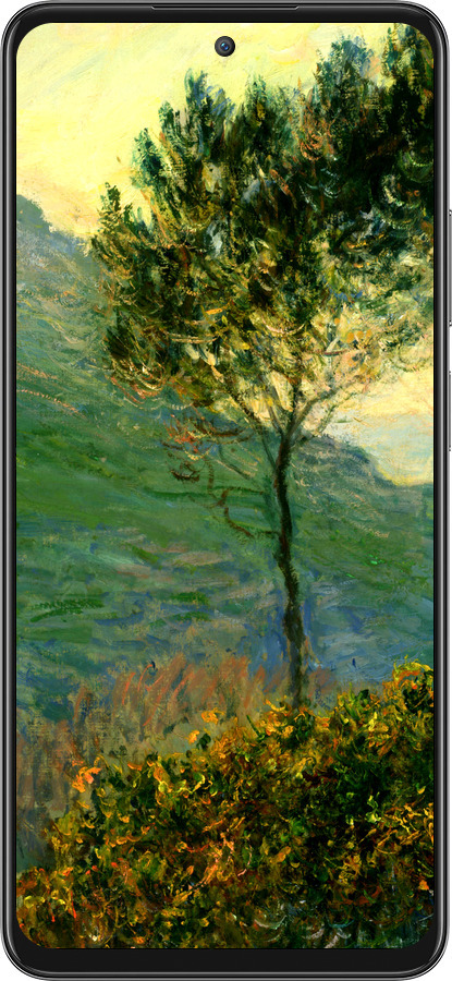 Силиконовый чехол Клод Моне для Oppo A3 Pro 5G - 1193u-4144 изображение 