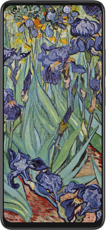 Силиконовый чехол Винсент Ван Гог. Ирисы для Oppo A3 Pro 5G - 161u-4144 изображение 