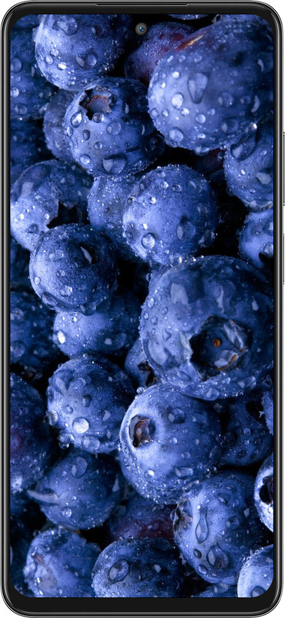 Силиконовый чехол Голубика для Oppo A3 Pro 5G - 4459u-4144 изображение 