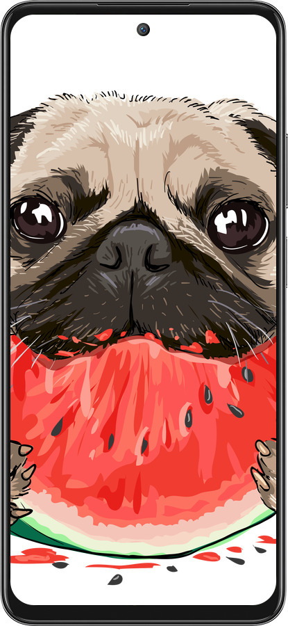 Силиконовый чехол Мопс и арбуз для Oppo A3 Pro 5G - 4665u-4144 изображение 