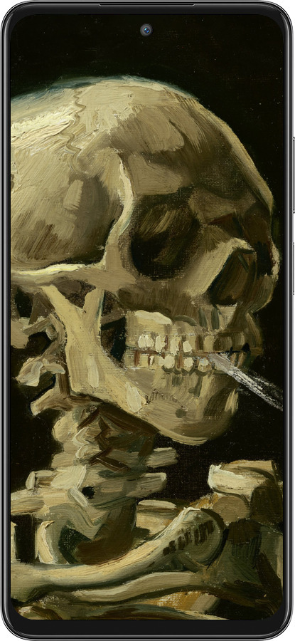 Силиконовый чехол Винсент Ван Гог. Череп для Oppo A80 5G - 5544u-3963 изображение 