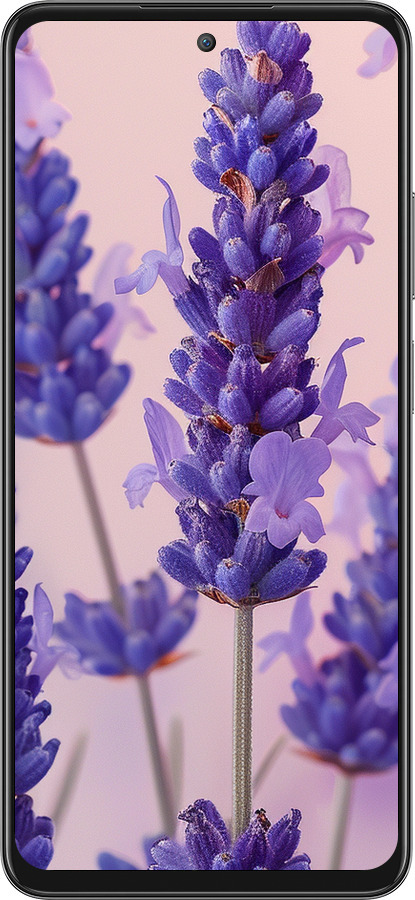 Силіконовий чехол Лаванда для Oppo A3 Pro 5G - 6037u-4144 изображение 