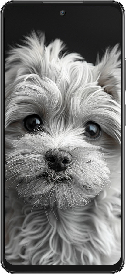 Силиконовый чехол Мальтипу на чорном фоне для Oppo A3 Pro 5G - 6156u-4144 изображение 