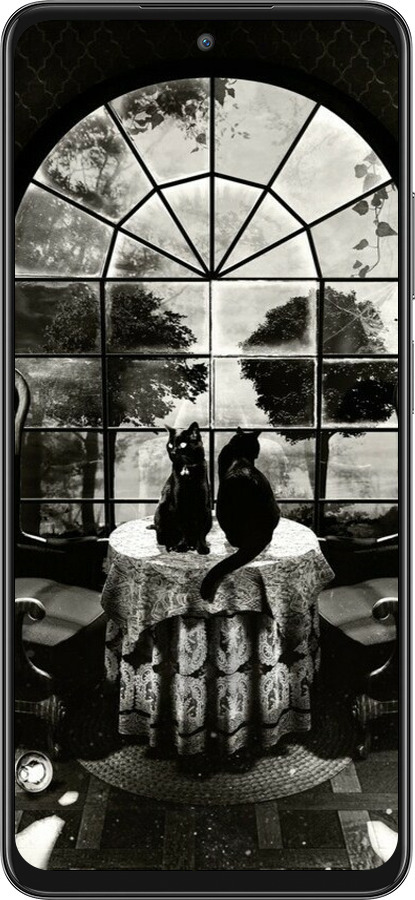 Силіконовий чехол Череп та коти для Oppo A3 Pro 5G - 6432u-4144 изображение 