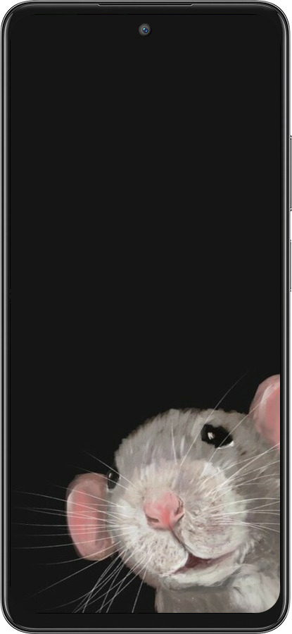 Силиконовый чехол The Peeking Rat для Oppo A3 Pro 5G - 6442u-4144 изображение 