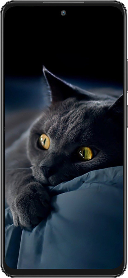 Силиконовый чехол Дымчатый кот для Oppo A80 5G - 825u-3963 изображение 