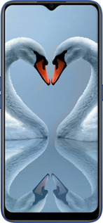 TPU чехол Лебеди для Oppo A9 2020 - 6007b-1865 изображение 