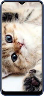 TPU чехол Котик для Oppo A5 2020 - 6024b-1888 изображение 