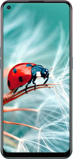 Силиконовый чехол Божья коровка для Oppo A94 - 6049u-2287 изображение 