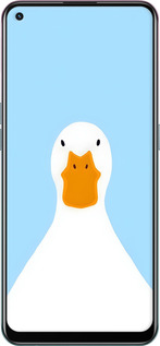 2D пластиковый чехол Гусь для Oppo A94 - 6350t-2287 изображение 