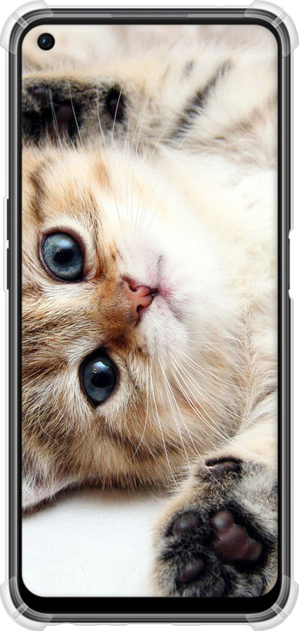 Силіконовий протиударний с посиленими кутами чехол Котик для Oppo A96 - 6024sp-2598 изображение 