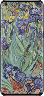 Силиконовый чехол Винсент Ван Гог. Ирисы для Oppo Find X5 Pro - 161u-2603 изображение 
