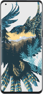 Силіконовий чехол Арт-орел на фоні природи для Oppo Find X5 Pro - 3983u-2603 изображение 