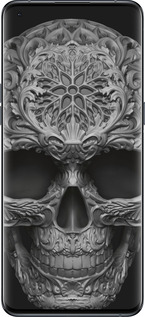 Силиконовый чехол skull-ornament для Oppo Find X5 Pro - 4101u-2603 изображение 