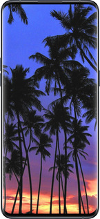 Силиконовый чехол Пальмы для Oppo Find X5 Pro - 4324u-2603 изображение 