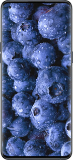 Силиконовый чехол Голубика для Oppo Find X5 Pro - 4459u-2603 изображение 