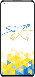 Силиконовый чехол Птица мира для Oppo Find X5 Pro - 5231u-2603 изображение 