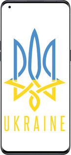 Силиконовый чехол Герб v2 для Oppo Find X5 Pro - 5259u-2603 изображение 