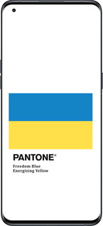 Силиконовый чехол Прапор Пантон для Oppo Find X5 Pro - 5275u-2603 изображение 