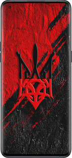 Силиконовый чехол Герб v4 для Oppo Find X5 Pro - 5293u-2603 изображение 