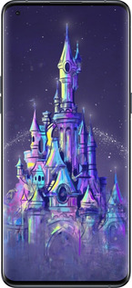 Силиконовый чехол № 5407 для Oppo Find X5 Pro - 5407u-2603 изображение 