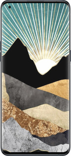 Силиконовый чехол № 5408 для Oppo Find X5 Pro - 5408u-2603 изображение 