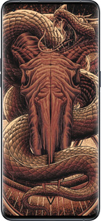 Силиконовый чехол № 5418 для Oppo Find X5 Pro - 5418u-2603 изображение 