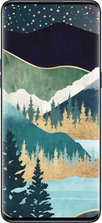 Силиконовый чехол № 5429 для Oppo Find X5 Pro - 5429u-2603 изображение 