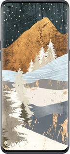 Силиконовый чехол № 5430 для Oppo Find X5 Pro - 5430u-2603 изображение 