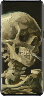 Силиконовый чехол Винсент Ван Гог. Череп для Oppo Find X5 Pro - 5544u-2603 изображение 