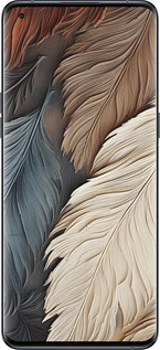 Силиконовый чехол Листья в стиле бохо для Oppo Find X5 Pro - 5643u-2603 изображение 