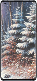 Силиконовый чехол Зимний пейзаж для Oppo Find X5 Pro - 5814u-2603 изображение 