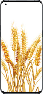Силиконовый чехол Колоски пшеници для Oppo Find X5 Pro - 5866u-2603 изображение 